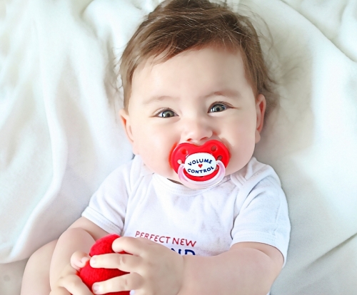 schuller-volumecontrol