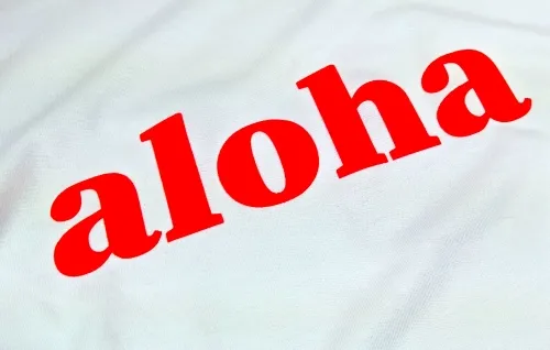 schwangerschaftsmode-T-Shirt-Schwanger-aloha